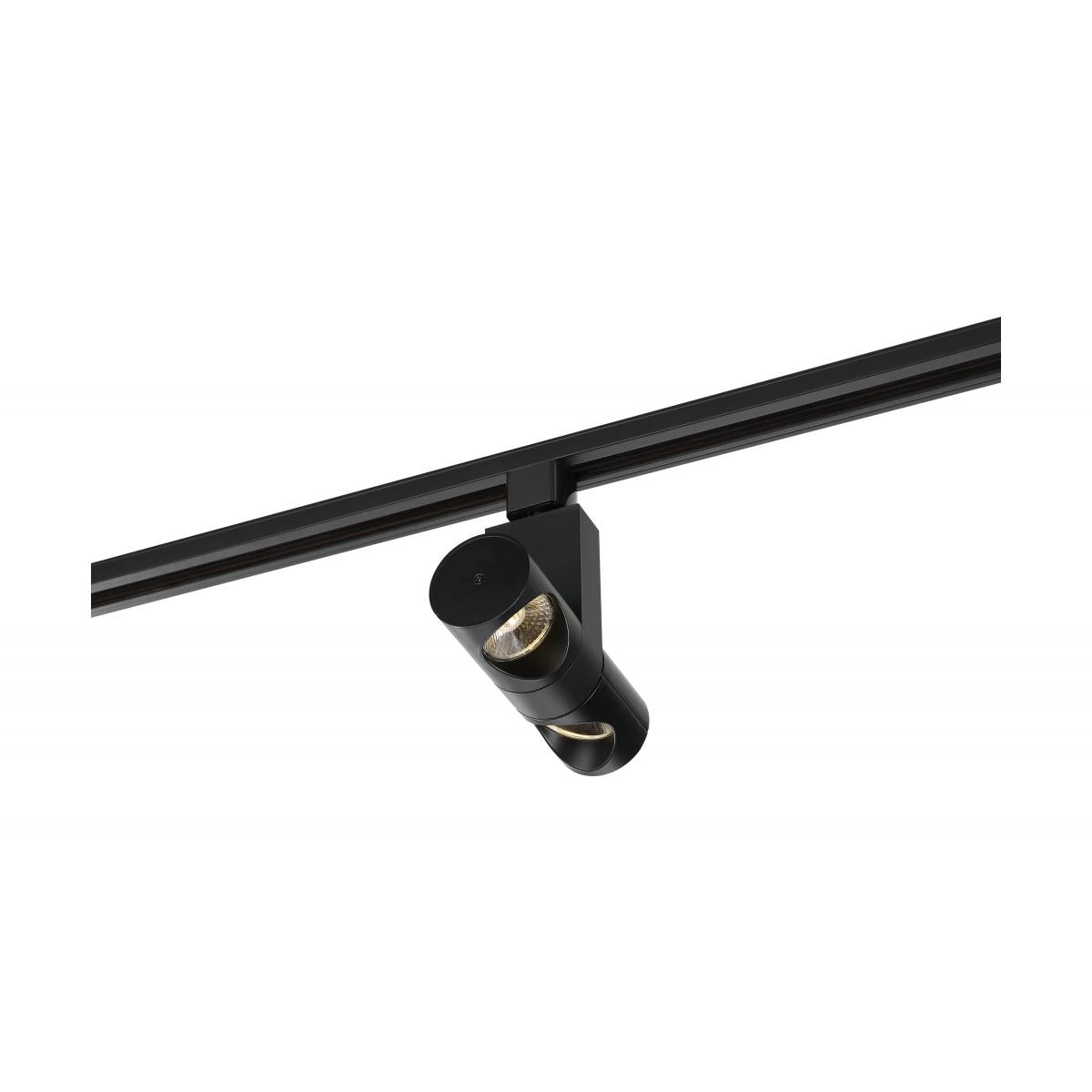 TH480 24W LED PIPE DUAL TRACK HEAD LED; 24 Watt Track Head; Dual Pipe; Black; 24 deg. Beam Angle