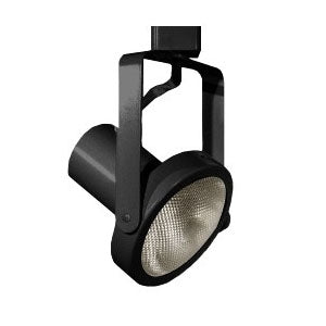 Gimbal Ring Track Light - Line Voltage - PAR30 - 75W Max. - Black