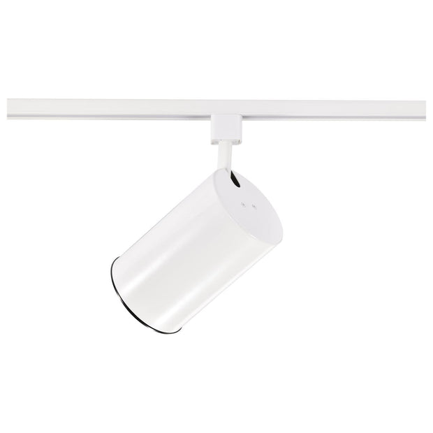 TH202 WHITE R30 STRAIGHT CYL  1 Light - R30 - Track Head - Straight Cylinder - White Finish