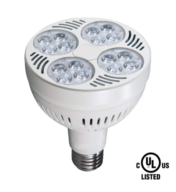 Par30 32-40W XBrite LED Spot Jewelry Bulb