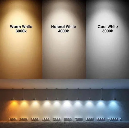 Par38 55W XBrite LED Spot Light for Jewelry Stores